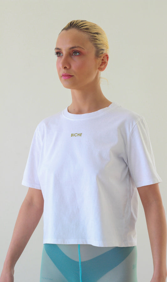 Base 01 — Le T-shirt